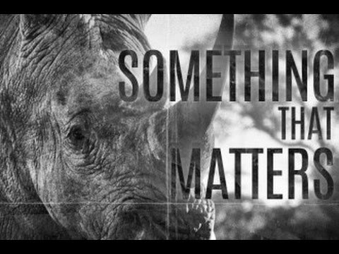 steven lyon, rhino poaching, rhino, documentory, wildlife, 